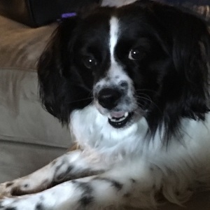 Fundraising Page: Amy Weissman